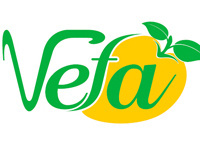 Thiết kế website Vefa